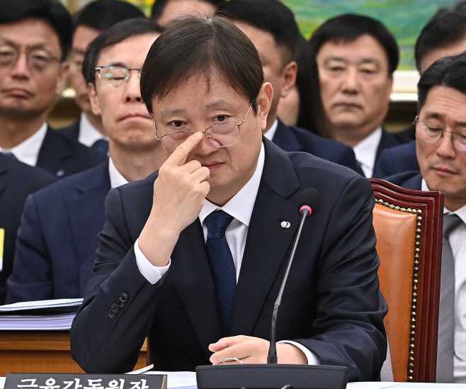 [2025 국감] 금융위·금감원 종합감사