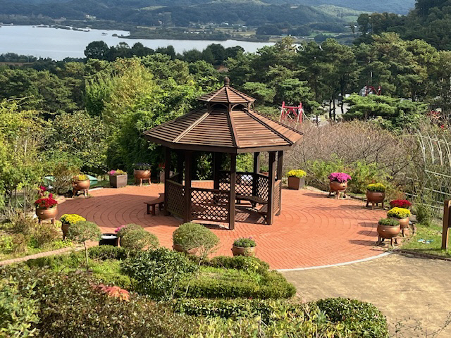 예산군 봉수산수목원, 국화 만개로 가을 정취 물씬