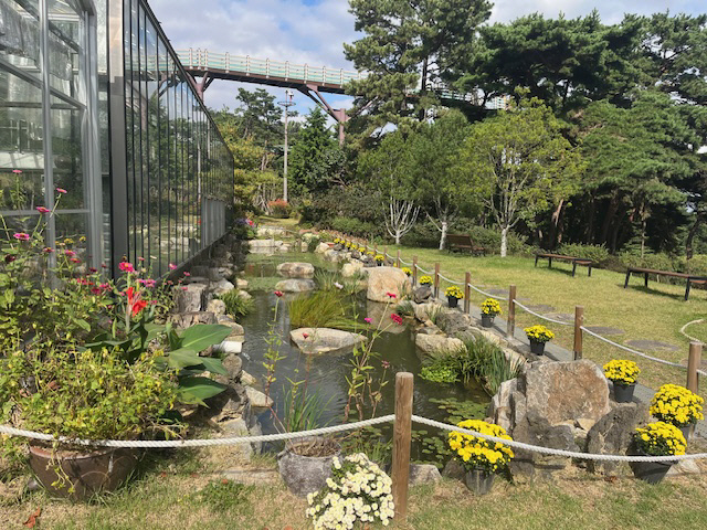예산군 봉수산수목원, 국화 만개로 가을 정취 물씬