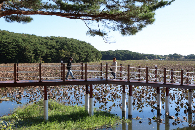 태안 안면도 새 휴식공간...승언2호 저수지 수변공원 준공