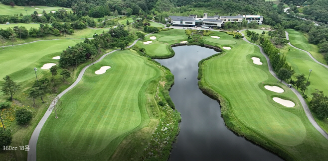 사본 -마에스트로_이미지