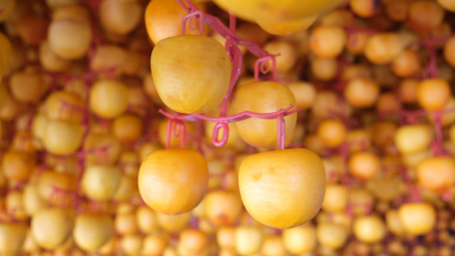 영동곶감 만들기 본격 돌입