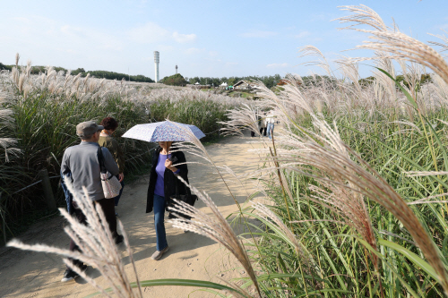 따뜻한 오후<YONHAP NO-5837>