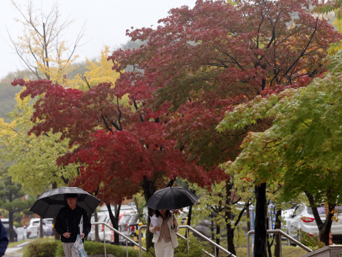 비 내리는 캠퍼스<YONHAP NO-4123>