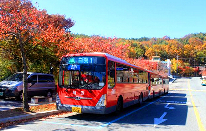 2024102501002286300141991