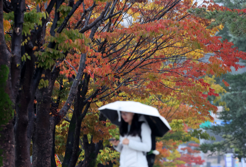 비 내리는 캠퍼스<YONHAP NO-4126>