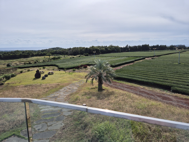 KakaoTalk_20251102_061709418