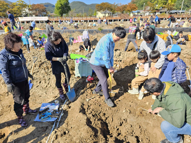 20251101-밀양 연근캐기 행사, 지역주민과 관광객 함께 웃음꽃 활짝(3)