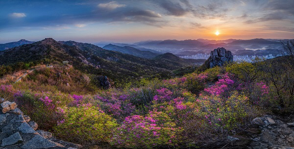 KakaoTalk_20251102_124347487