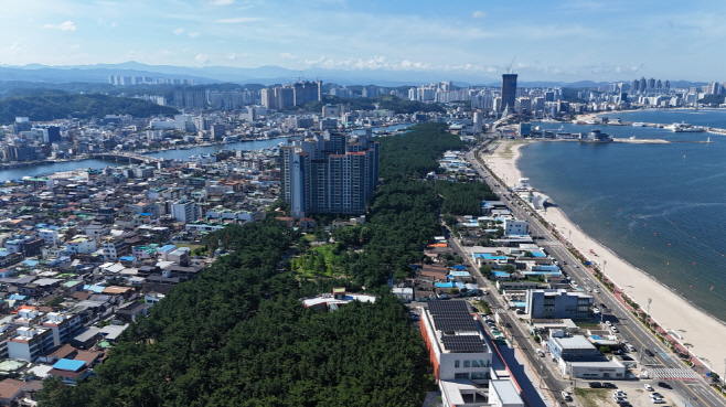 251102 포항 송도솔밭도시숲, 산림청 주관 ‘대한민국 모범도시숲’ 최종 선정1 (2)