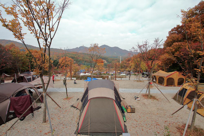 [한국관광공사]초막골생태공원 느티나무야영장(경기도_군포시)