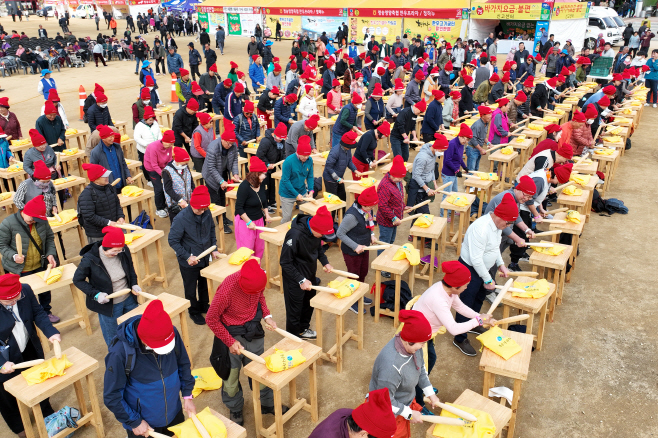 제19회 청송사과축제,꿀잼 사과난타