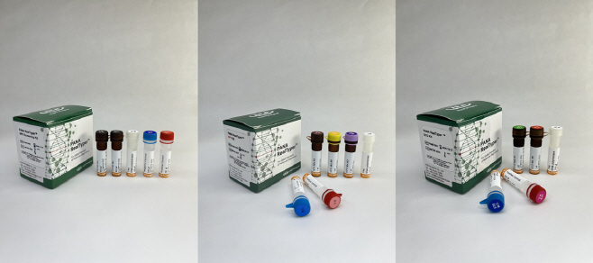 유럽연합 체외진단의료기기 규정 인증(CE IVDR) 획득한 감염성 질환 진단 제품 3종