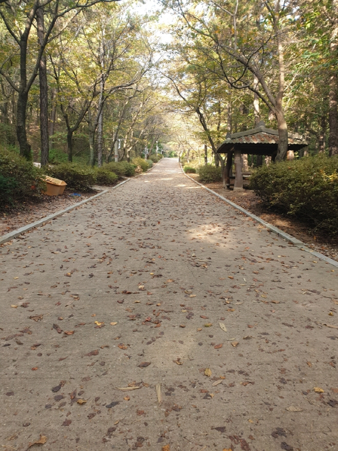 5.도시디자인과([기획]의정부시가 추천하는 ‘가을에 걷기 좋은 길 베스트 5’)1-직동근린공원