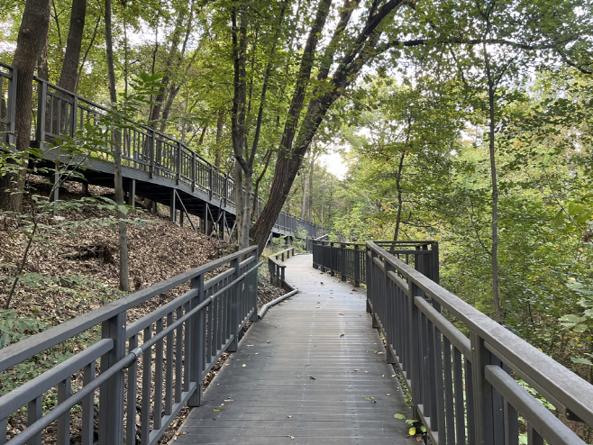 5.도시디자인과([기획]의정부시가 추천하는 ‘가을에 걷기 좋은 길 베스트 5’)4-추동숲정원 데크길