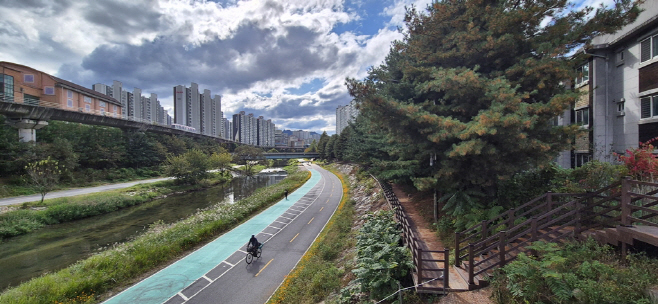 5.도시디자인과([기획]의정부시가 추천하는 ‘가을에 걷기 좋은 길 베스트 5’)5-부용천 황화코스모스 길