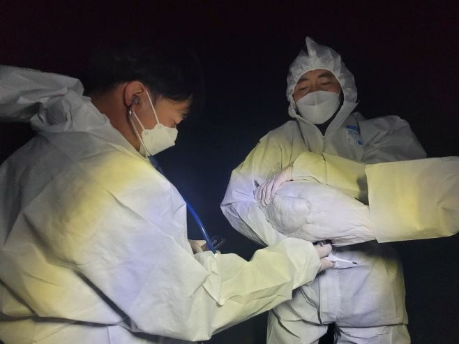 예산군, 일본 효고현립황새고향공원과 황새 유전자 교류 성공