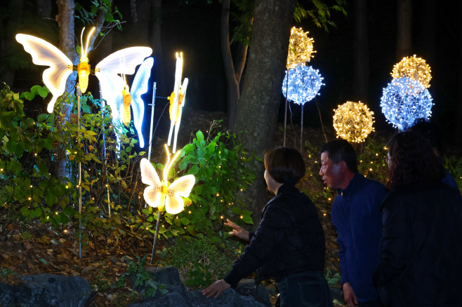 (1-3) 남동구, 도림동 빛의 거리 조성