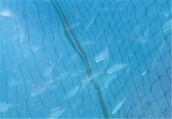 벤자리 시험양식