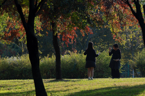 가을 추억<YONHAP NO-5971>