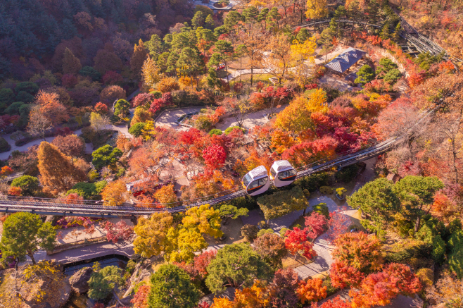 곤지암리조트가 가을 단풍의 매력과 만추를 더 풍성하게 즐길 수 있는 가을 화담숲 올인원 패키지를 선보인다