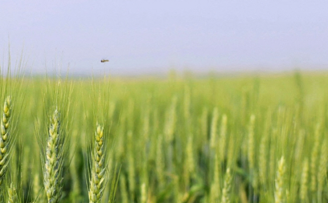 화면 캡처 2025-11-06 172038