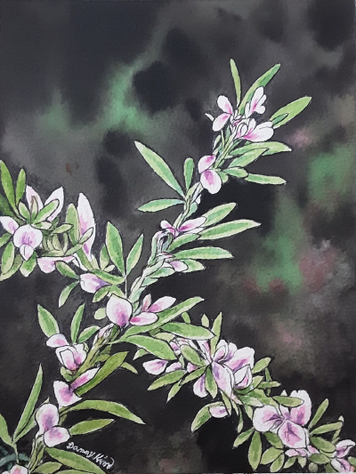 (58-2) 비수리 그림