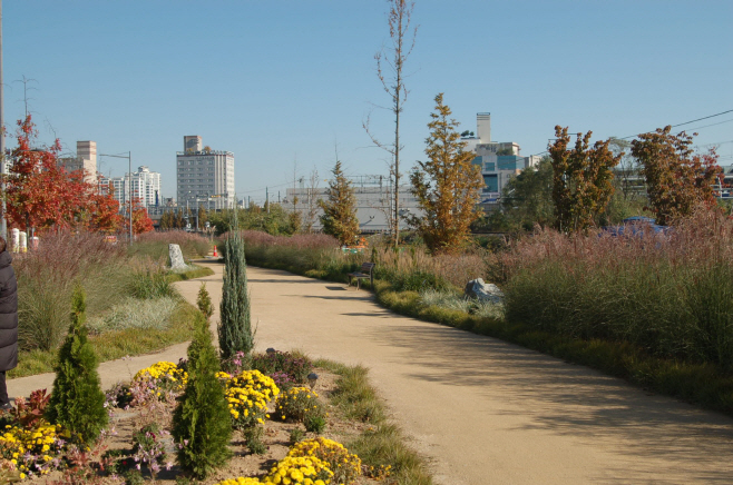 04.1 청주시 오송물결정원, 주민 손길 더해 가을정원으로 변신. 사진