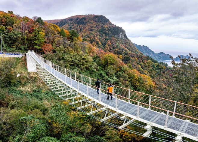 울릉 울렁다리 준공식 개최 6