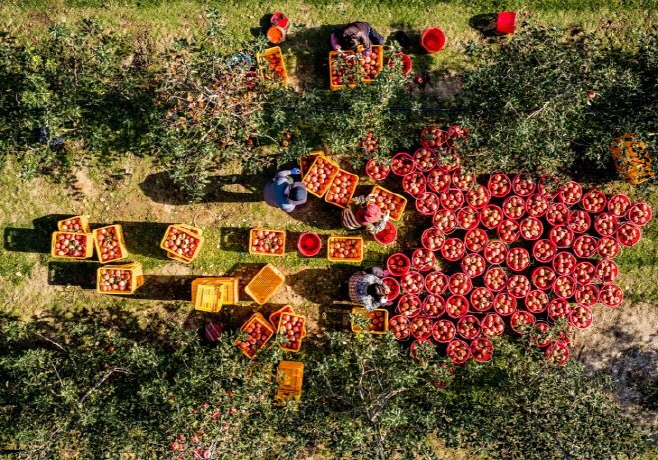 kuk20251110000024.729x.0