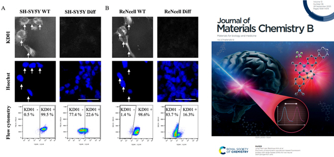 [붙임] 연구결과(좌측)와 논문이 게재된 국제학술지 표지
