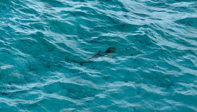 KakaoTalk_20251109_094111286