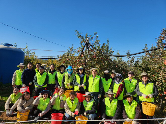 예산군농업기술센터, 수확기 사과농가 일손 돕기 실시