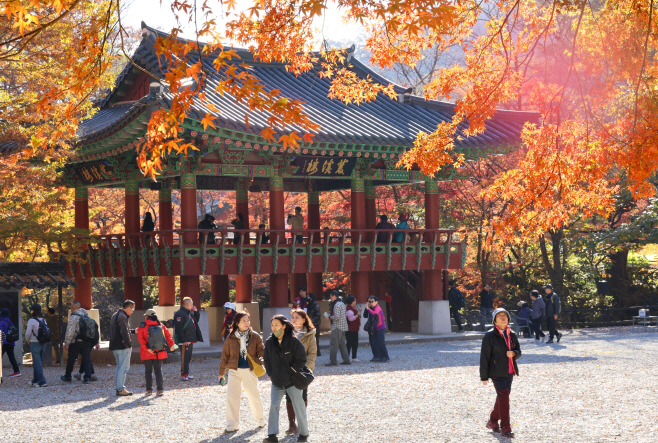 단풍놀이<YONHAP NO-3538>