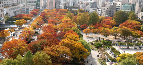 포근한 입동<YONHAP NO-6070>