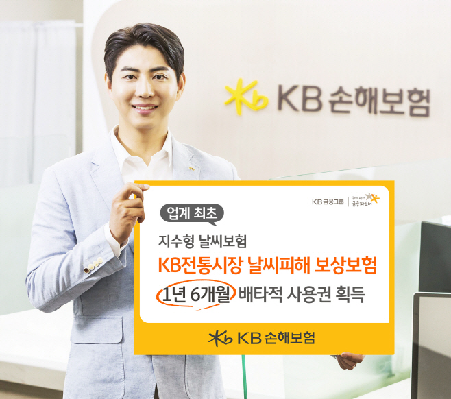 [보도사진] KB손해보험_업계 최초 지수형 날씨보험 KB 전통시장 날씨피해 보상보험 배타적 사용권 획득