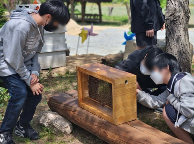 02.2 청주명소 관광 농촌체험 다 잡은 농스탑투어, 하루 만에 매진. 사진(양봉생태체험)