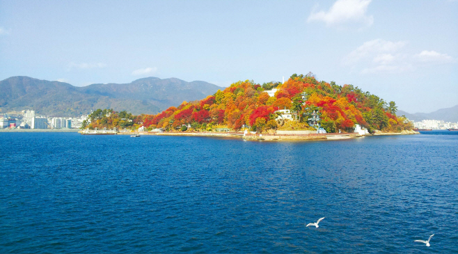 가을 단풍 명소‘돝섬’으로 오세요(관광과) (1)