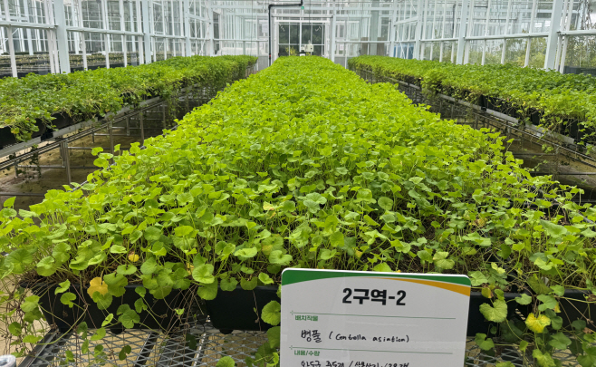 전남산림연구원