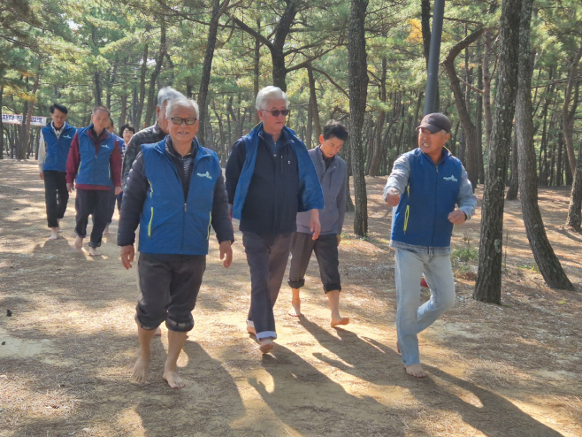 1. 걷다 보면 울진이 보인다(월송정 명품맨발걷기 체험 행사)