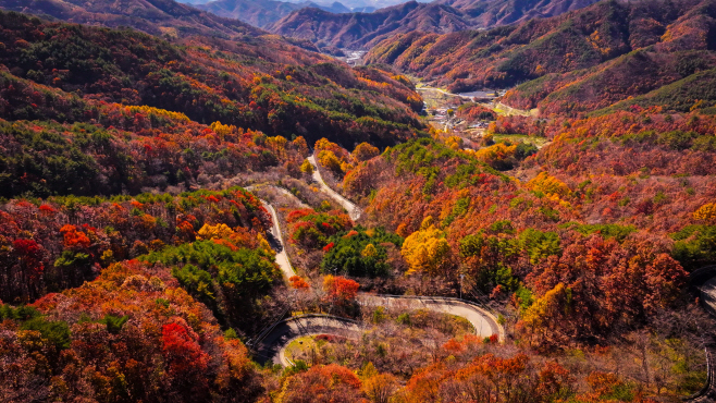 1. 영동 도마령, 짙게 물든 단풍…가을 정취로 물든 24굽이 고갯길 (1)