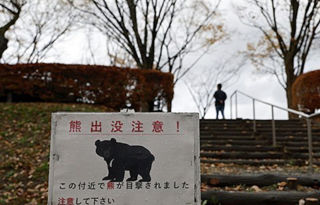 화면 캡처 2025-11-17 141810