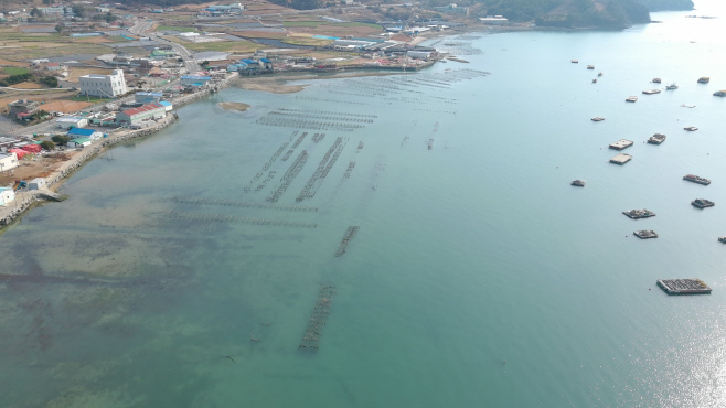 패류생산 지정해역