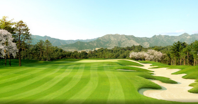 클럽디보은_이미지