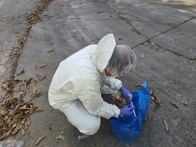 사진1-1(시료채취)