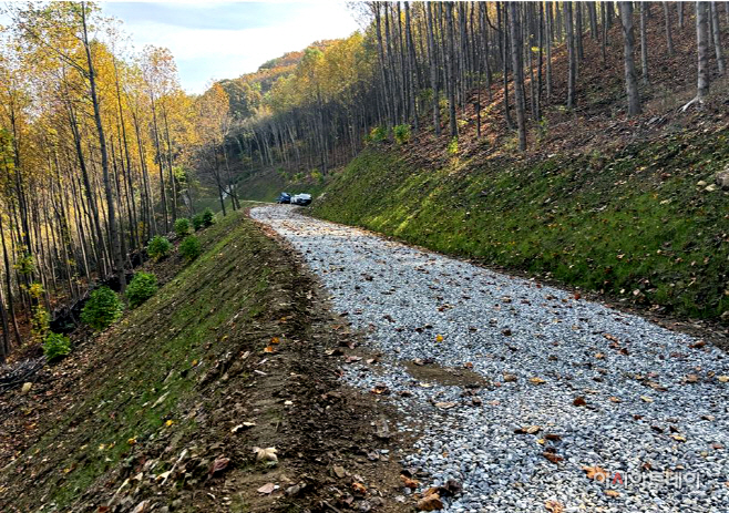 아산시 신창면 창암리 임도