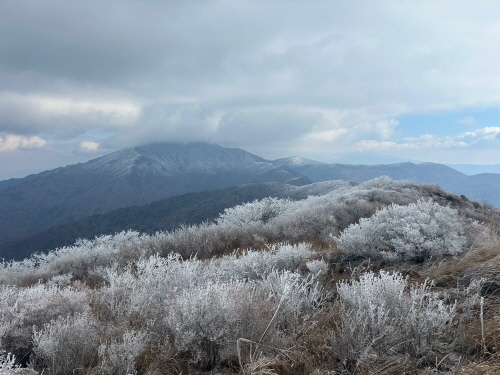 올겨울 첫 상고대 핀 지리산 노고단<YONHAP NO-2485>