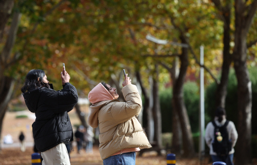 추워도 놓칠 수 없는 가을<YONHAP NO-6419>