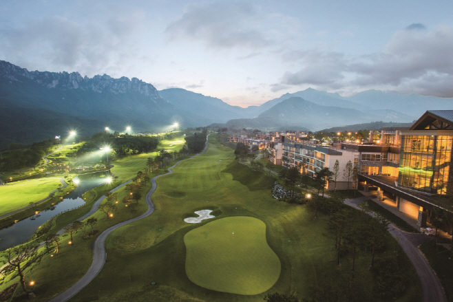 소노펠리체 CC 델피노