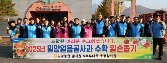 (밀양농협) 보도자료-밀양농협 임직원 사과수확 농촌일손돕기 사진-crop